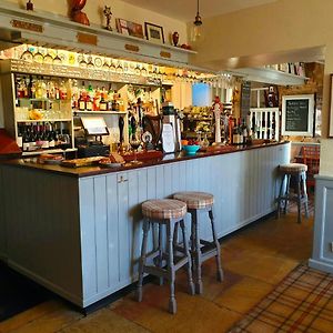 The Hare Room Pet Friendly